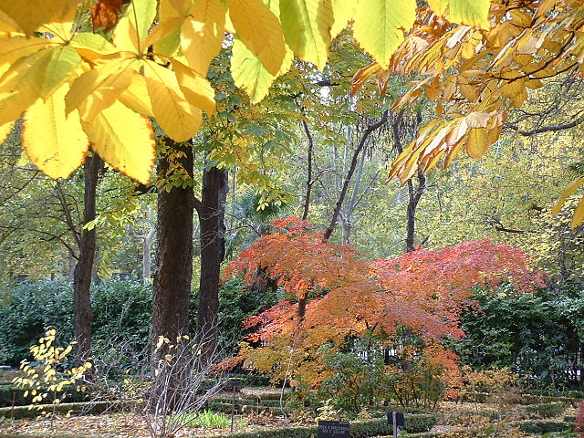 Real Jardín Botánico