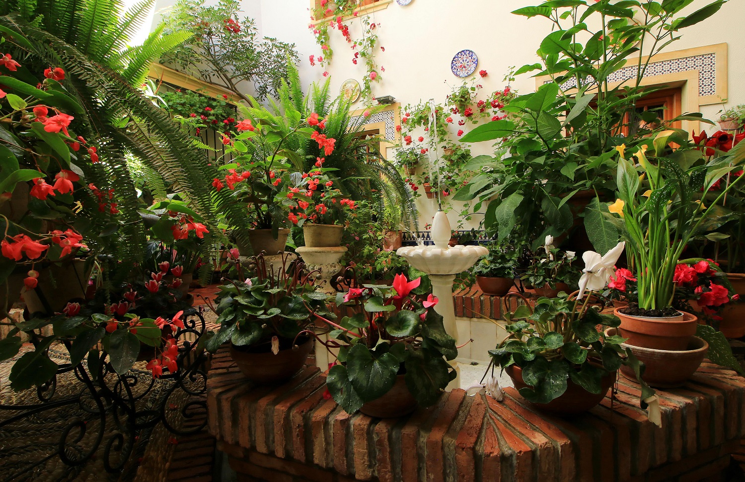 Patio de Maese Luis (Córdoba)
