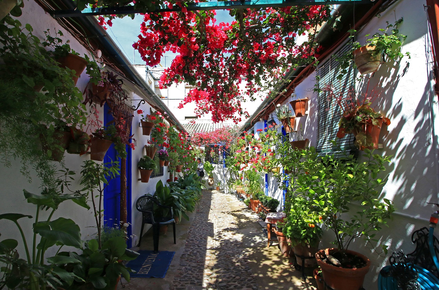 Patio de Marroquíes (Córdoba)