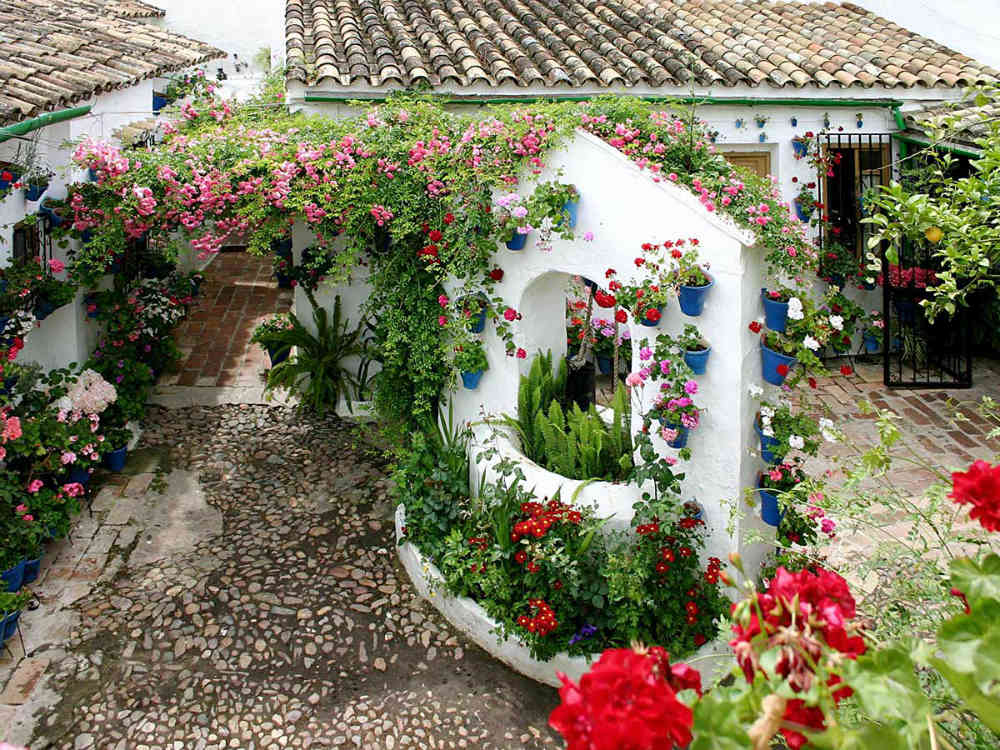Patio de Trueque (Córdoba)