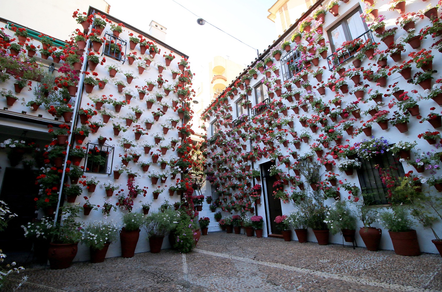 Patio Martín de Roa (Córdoba)