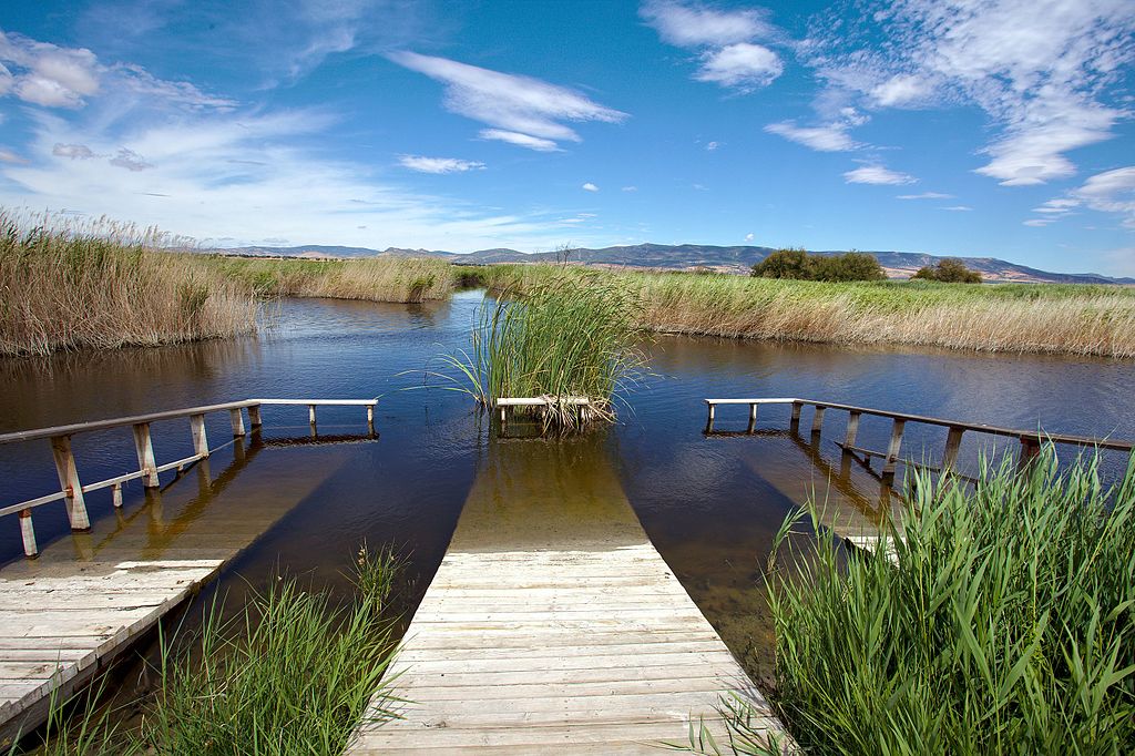 Parque Nacional Tablas de Daimiel