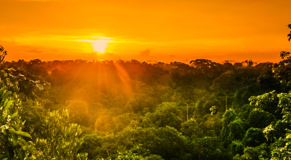 Puesta de sol en Amazonas