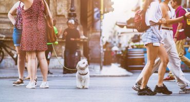 Las provincias más «pet friendly» de España