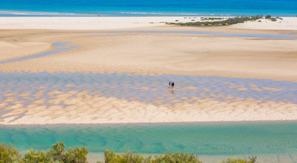 Ría Formosa (Faro)