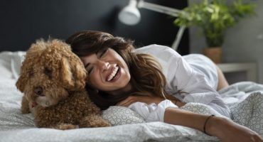 Cómo quedarse en el hotel con una mascota: 10 consejos para hacerlo