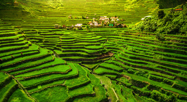 Terrazas de los arrozales de Banaue