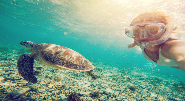Observando tortugas en una sesión de snorkel