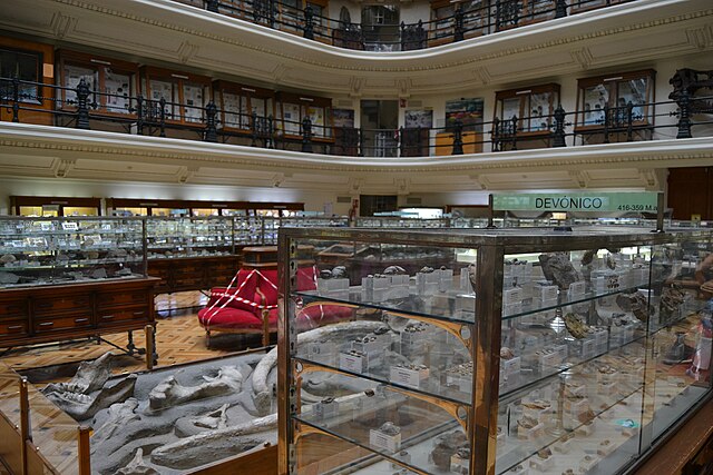 Sala principal del Museo Geominero de Madrid