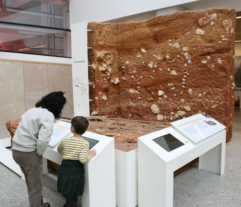 Actividad interactiva en el Museo de la Evolución Humana de Burgos