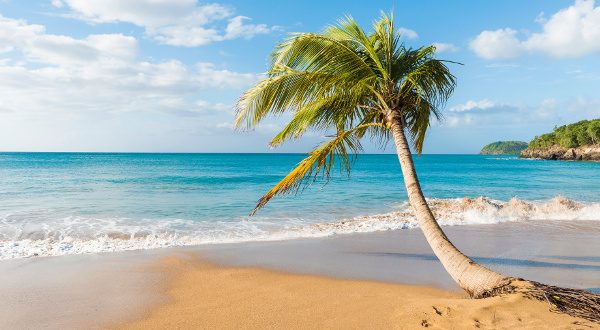 Playa de la isla de Guadalupe