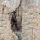 Persona caminando al otro lado de un trozo del muro de Berlín