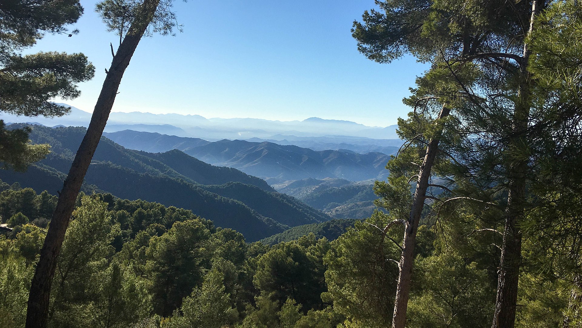 Paisajes del Parque Natural Montes de Málaga