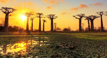 Qué ver y hacer en Madagascar