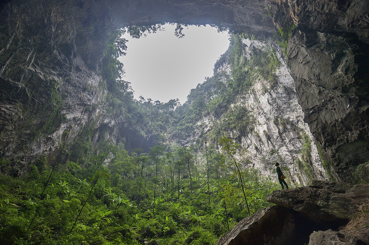 Bosque en una gruta en Vietnam
