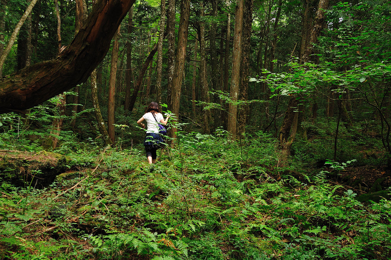 Mujer caminando en el bosque de Aokigahara