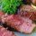 Filete de carne