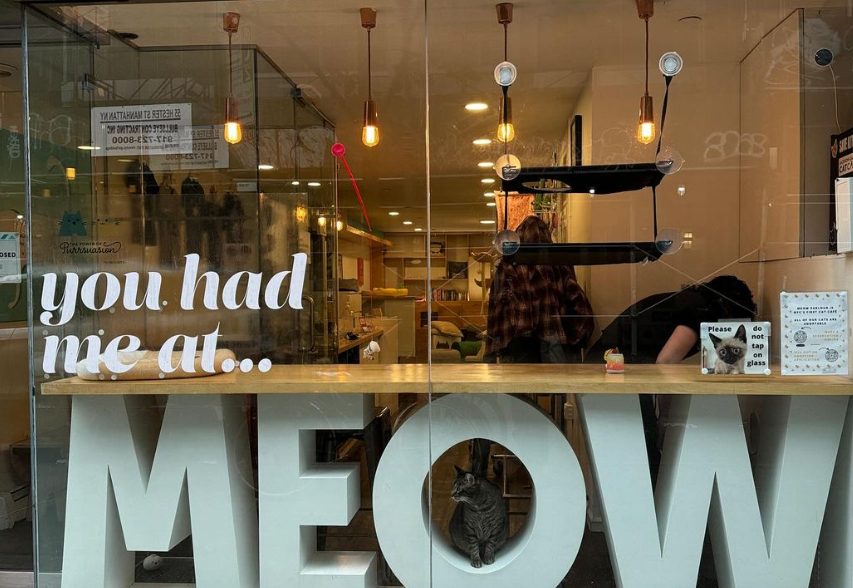 Escaparate de Meow Parlour en Nueva York