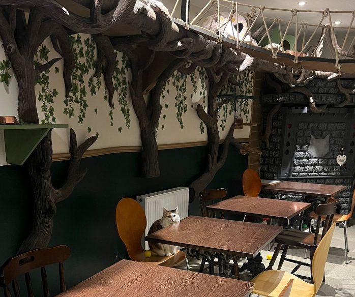 Interior de la cafetería gatuna Lady Dinah's Cat Emporium de Londres