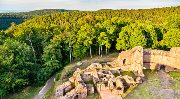 El Castillo de Wangenbourg, en Alsacia