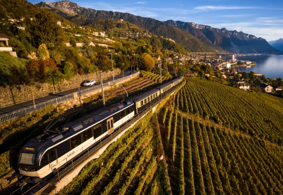 Tren del chocolate a su paso por viñedos en terrazas
