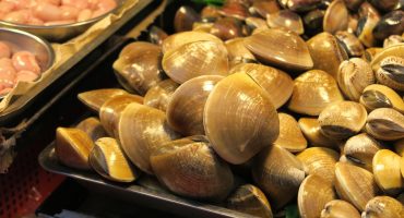 Lo mejor de la gastronomía de Galicia provincia a provincia