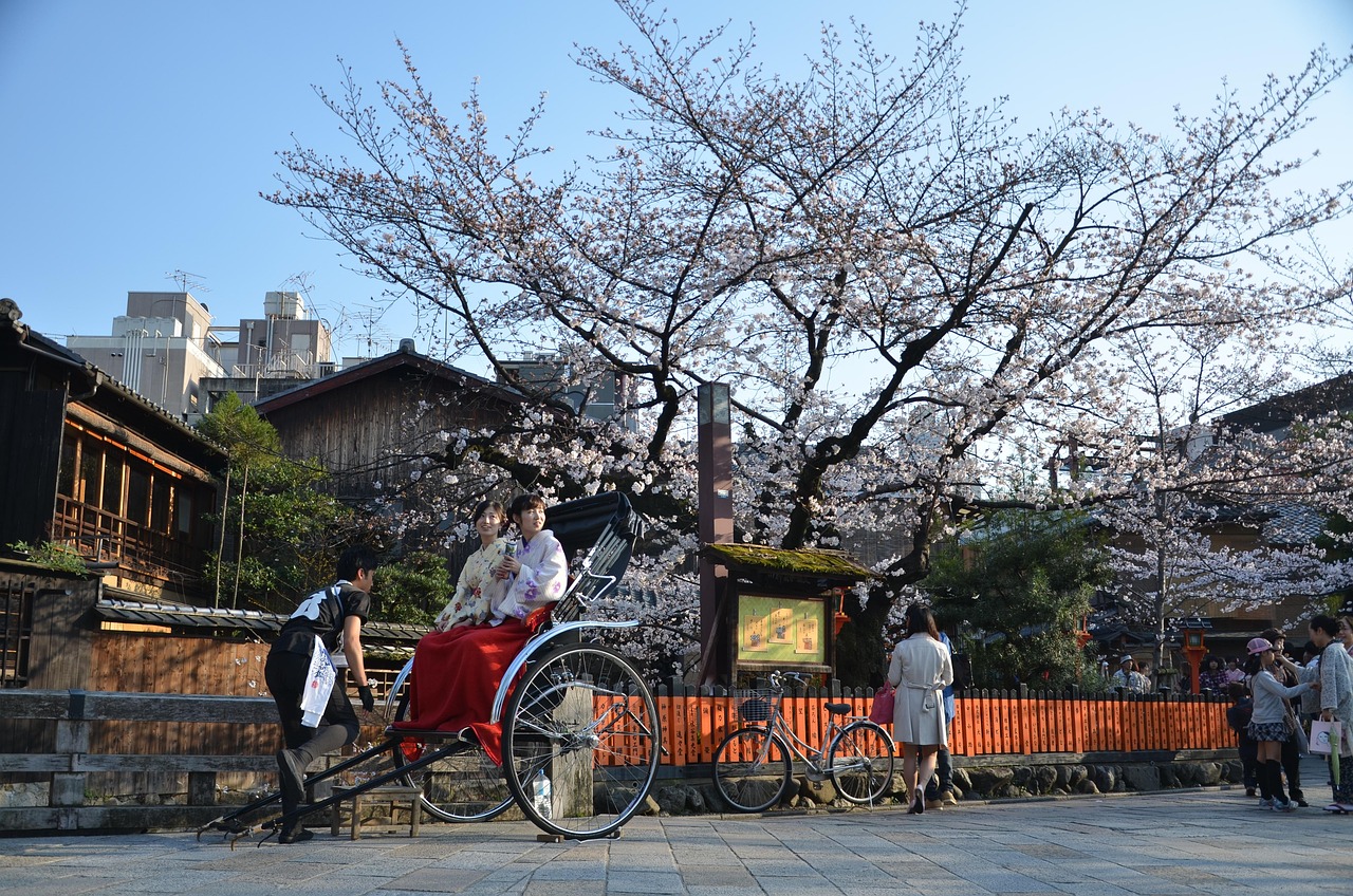 Celebración del Hanami en Japón